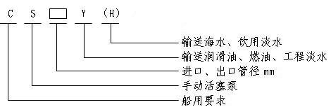 www.cshdpl.com